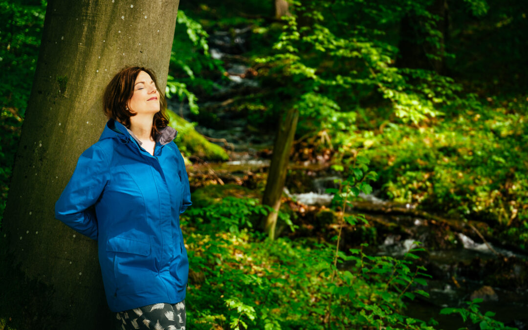 So gelingt Entschleunigung beim Waldbaden