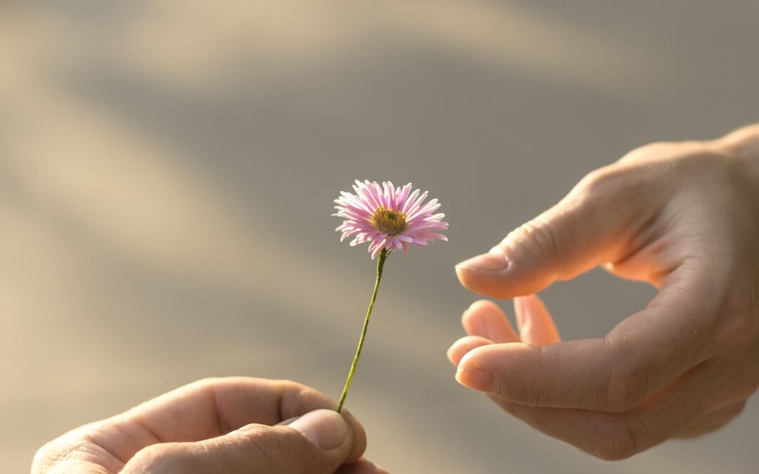 Frühlingsboten: An Gottes Segen ist alles gelegen